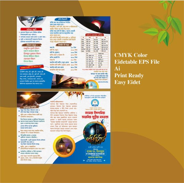 Brochure Design